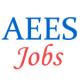 Teacher Jobs in AEES