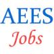 Principal and PGT Teacher Jobs in AEES