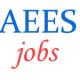 Teacher Jobs in AEES