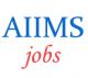 Teaching Jobs in AIIMS