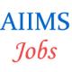 Group A B & C Jobs in AIIMS Delhi