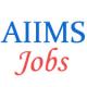 Assistant Professor and Lecturer Jobs in AIIMS