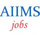 Teaching Professor Jobs in AIIMS