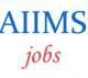 Govt. Jobs in AIIMS