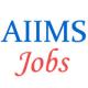 Teaching Jobs in AIIMS