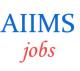 Nursing Officer / Staff Nurse Jobs in AIIMS