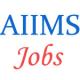 Group-B and Group-C Jobs in AIIMS