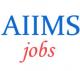 Teaching Jobs in AIIMS Bhubaneswar