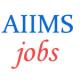 Assistant Professor and Lecturer Jobs in AIIMS