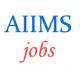 Teaching Jobs in AIIMS