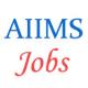 Non-Teaching Jobs in AIIMS