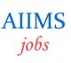 Teaching Jobs in AIIMS 