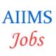 Jobs in AIIMS