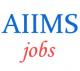 Teaching Jobs in AIIMS