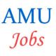 Teaching Jobs in AMU