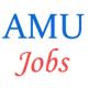 Various Jobs in Aligarh Muslim University (AMU)