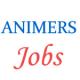 Teaching Jobs in ANIMERS