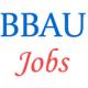 Teaching and Non-Teaching Jobs in BBAU