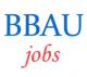 Teaching Jobs in BBAU