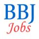 Assistant Engineer (Project) Jobs in BBJ