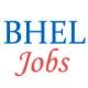 Law Officer Jobs in BHEL