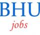 Rolling Teaching Jobs in BHU