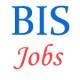 Assistant Director Jobs in BIS