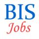 Scientist-B Jobs in Bureau of Indian Standards (BIS)