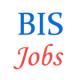 Various Jobs in Bureau of Indian Standards (BIS) 