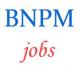 Employment Jobs in Bank Note Paper Mill Mysuru