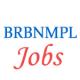 Assistant Managers Jobs in BRBNMPL