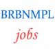 Assistant Manager Security Jobs in BRBNMPL