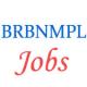 Assistant Manager Jobs in BRBNMPL