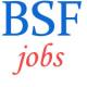 Constable SMT Transport Workshop Jobs in BSF