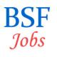 Aircraft Mechanic Jobs in BSF