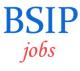 Scientist-B Jobs Birbal Sahni Institute