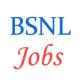 07 posts of Management Trainee in Bharat Sanchar Nigam Limited (BSNL)