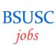 Assistant Professor Jobs in BSUSC 