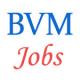 Various jobs in Govt. of Bihar / Bihar  Vikas Mission (BVM)