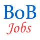 Specialist Officer Jobs in Bank of Baroda