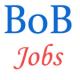 MSME Finance Credit Specialist Officer Jobs in Bank of Baroda