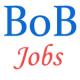 Wealth Management Jobs in Bank of Baroda 