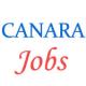 Specialist Officer Jobs in Canara Bank 