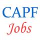 Medical Officers Jobs in Central Armed Police  Forces  (CAPF)