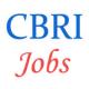 Scientist Jobs in CBRI