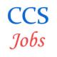 Teaching Jobs in CCS University