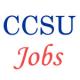 Non-Teaching Jobs in CCS University