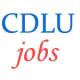 Teaching Jobs in Chaudhary Devi Lal University