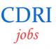 Scientist Jobs in CDRI