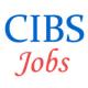 Teaching Jobs in Central Institute of Buddhist Studies (CIBS)